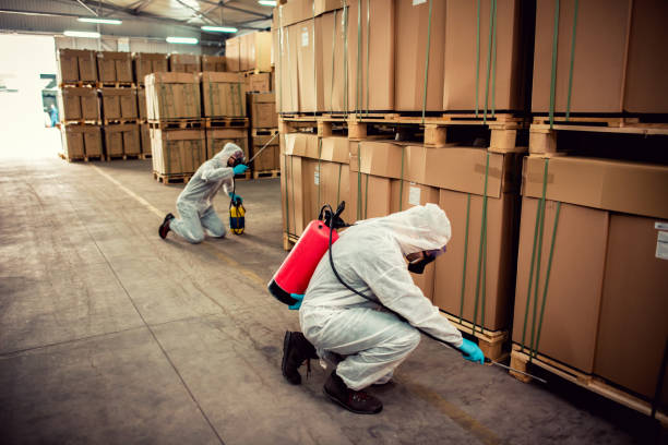 Best Bed Bug Extermination  in Perry, KS