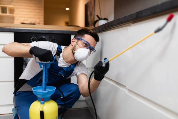 Best Cockroach Control Services  in Perry, KS