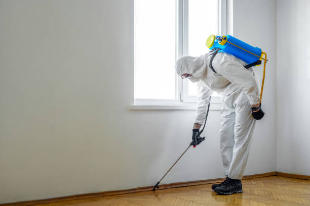 Best Insect Control  in Perry, KS