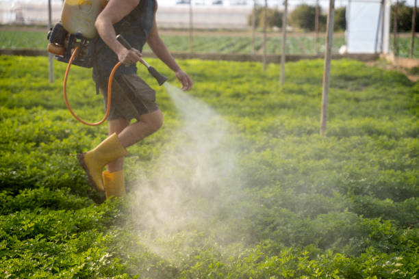 Best Best Pest Control Companies  in Perry, KS