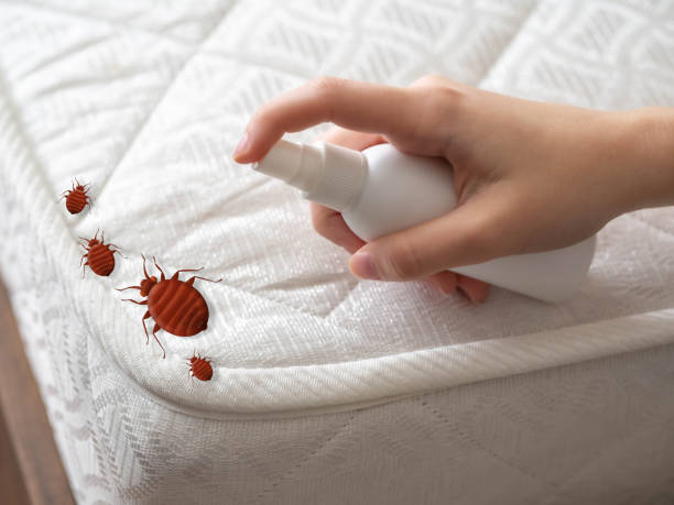 Best Best Pest Control Companies  in Perry, KS