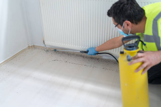 Best Pest Prevention Services  in Perry, KS