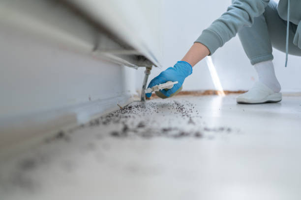 Best Commercial Pest Control Services  in Perry, KS