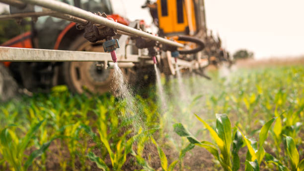 Insect Control in Perry, KS